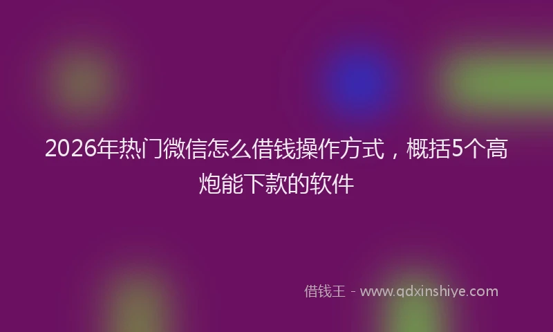 2026年热门微信怎么借钱操作方式，概括5个高炮能下款的软件