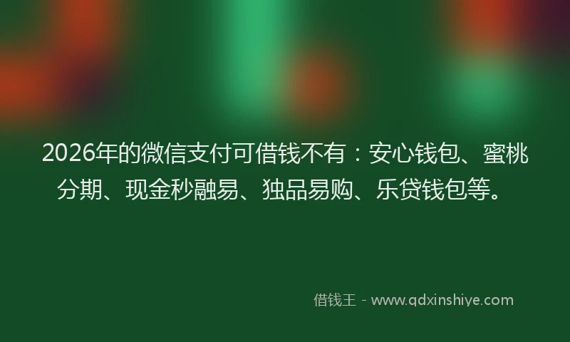 2026年的微信支付可借钱不有：安心钱包、蜜桃分期、现金秒融易、独品易购、乐贷钱包等。