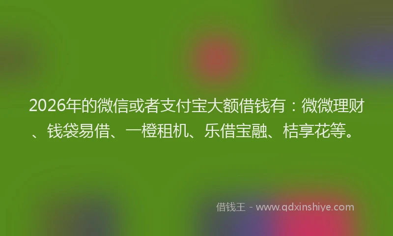2026年的微信或者支付宝大额借钱有:微微理财、钱袋易借、一橙租机、乐借宝融、桔享花等。