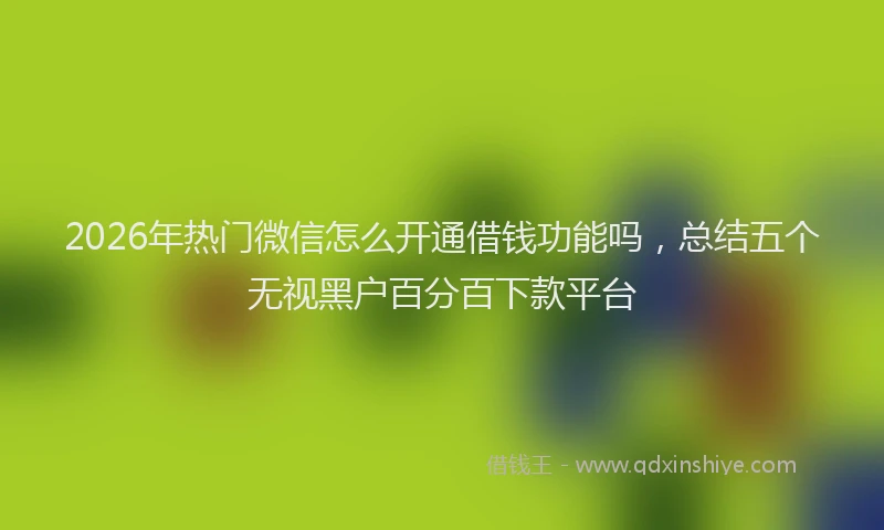 2026年热门微信怎么开通借钱功能吗，总结五个无视黑户百分百下款平台