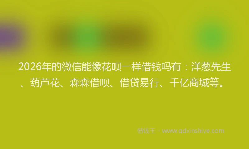 2026年的微信能像花呗一样借钱吗有：洋葱先生、葫芦花、森森借呗、借贷易行、千亿商城等。