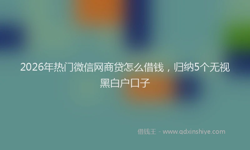 2026年热门微信网商贷怎么借钱，归纳5个无视黑白户口子