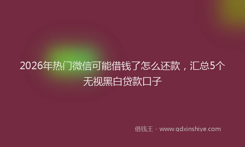 2026年热门微信可能借钱了怎么还款，汇总5个无视黑白贷款口子