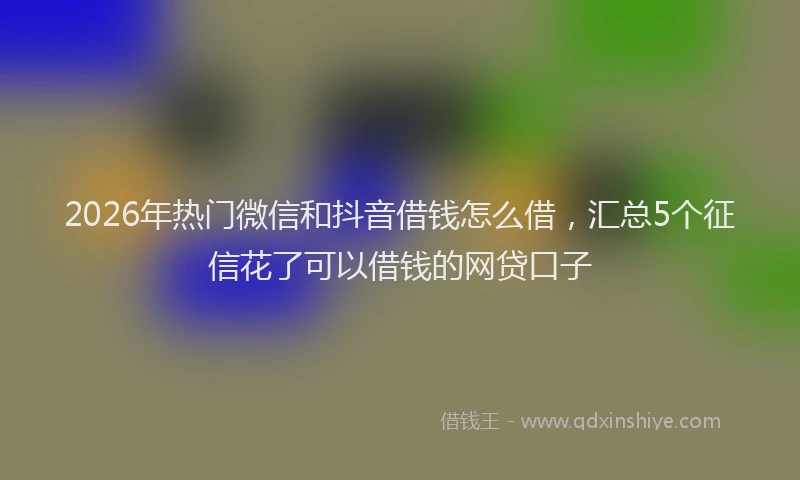 2026年热门微信和抖音借钱怎么借，汇总5个征信花了可以借钱的网贷口子