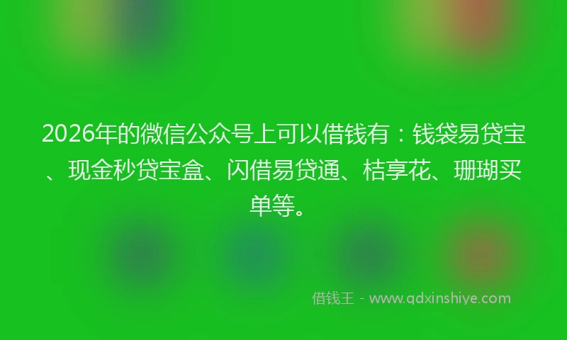 2026年的微信公众号上可以借钱有：钱袋易贷宝、现金秒贷宝盒、闪借易贷通、桔享花、珊瑚买单等。