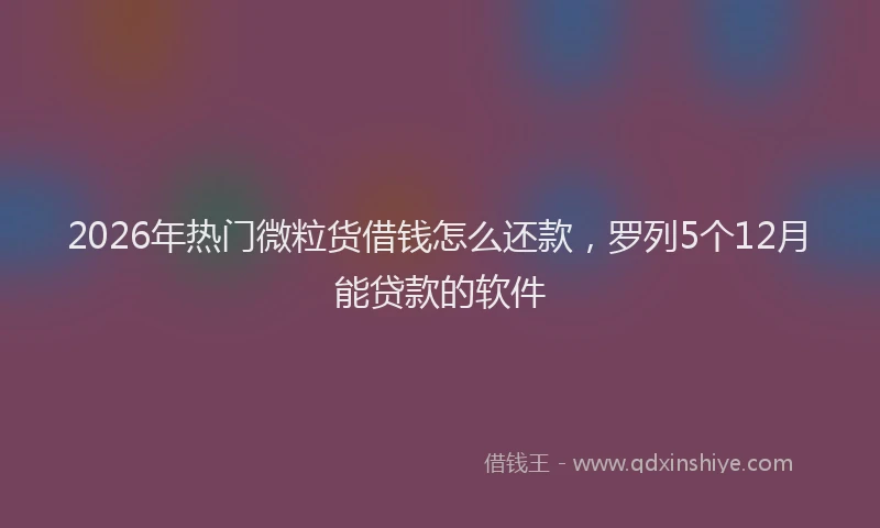2026年热门微粒货借钱怎么还款，罗列5个12月能贷款的软件