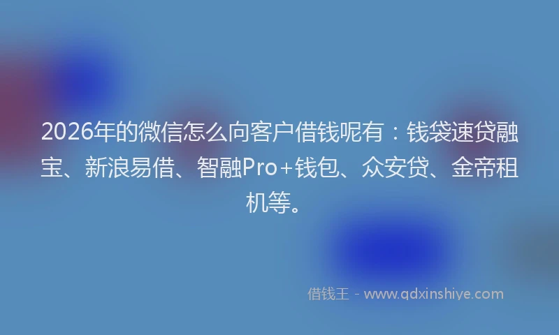 2026年的微信怎么向客户借钱呢有:钱袋速贷融宝、新浪易借、智融Pro+钱包、众安贷、金帝租机等。