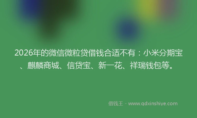 2026年的微信微粒贷借钱合适不有：小米分期宝、麒麟商城、信贷宝、新一花、祥瑞钱包等。
