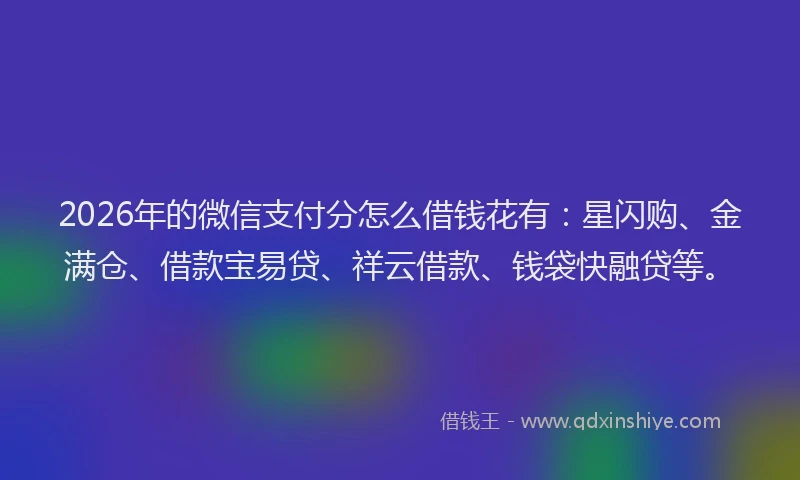 2026年的微信支付分怎么借钱花有：星闪购、金满仓、借款宝易贷、祥云借款、钱袋快融贷等。