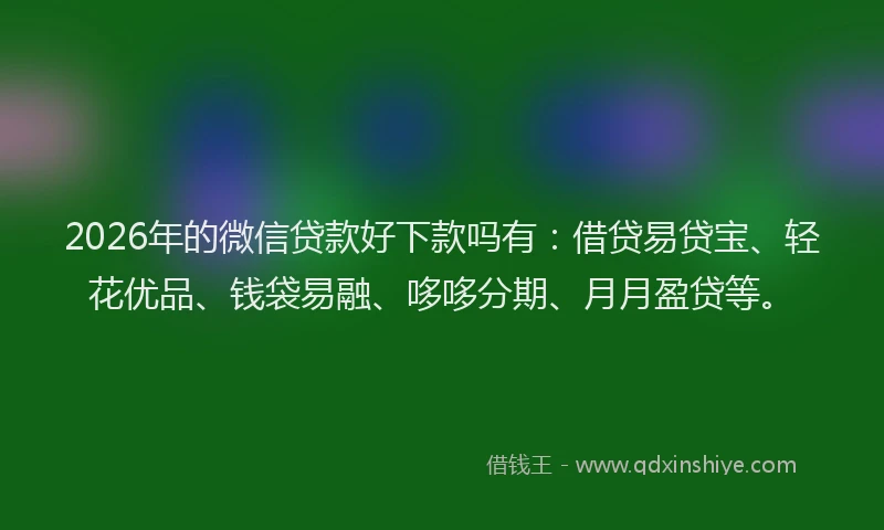 2026年的微信贷款好下款吗有：借贷易贷宝、轻花优品、钱袋易融、哆哆分期、月月盈贷等。