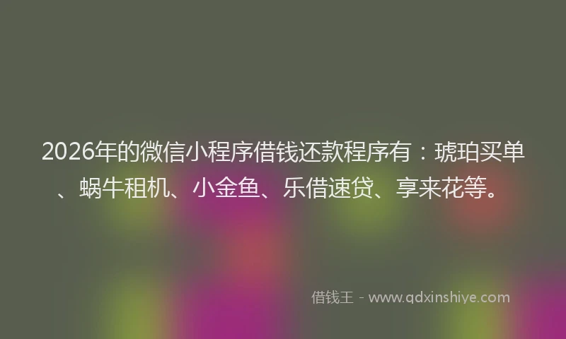 2026年的微信小程序借钱还款程序有：琥珀买单、蜗牛租机、小金鱼、乐借速贷、享来花等。