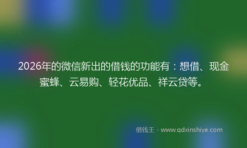 2026年的微信新出的借钱的功能有：想借、现金蜜蜂、云易购、轻花优品、祥云贷等。
