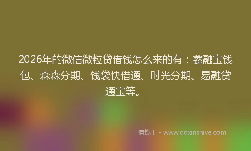 2026年的微信微粒贷借钱怎么来的有：鑫融宝钱包、森森分期、钱袋快借通、时光分期、易融贷通宝等。