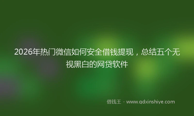 2026年热门微信如何安全借钱提现,总结五个无视黑白的网贷软件