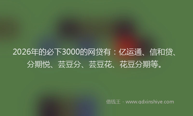 2026年的必下3000的网贷有：亿运通、信和贷、分期悦、芸豆分、芸豆花、花豆分期等。