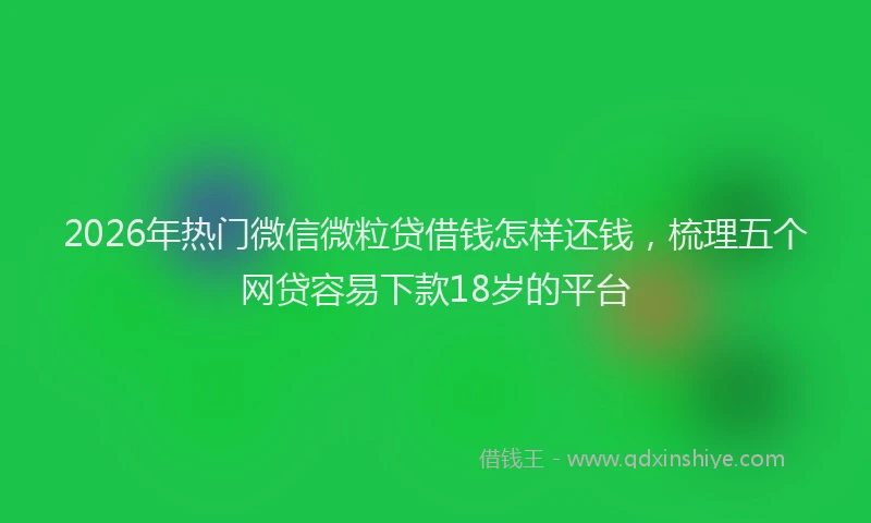 2026年热门微信微粒贷借钱怎样还钱，梳理五个网贷容易下款18岁的平台
