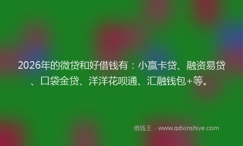2026年的微贷和好借钱有:小赢卡贷、融资易贷、口袋金贷、洋洋花呗通、汇融钱包+等。