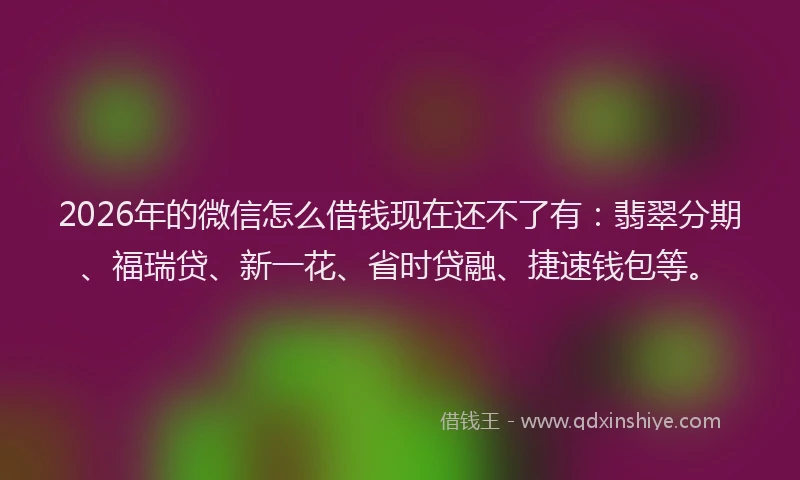2026年的微信怎么借钱现在还不了有：翡翠分期、福瑞贷、新一花、省时贷融、捷速钱包等。