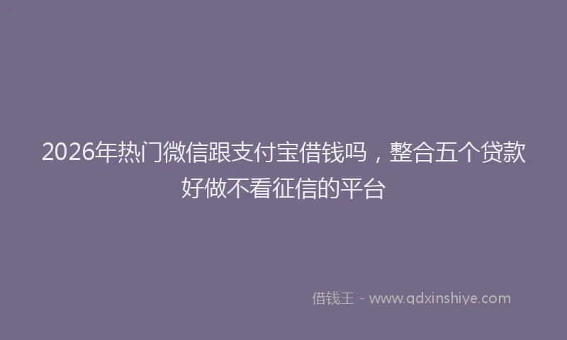 2026年热门微信跟支付宝借钱吗，整合五个贷款好做不看征信的平台
