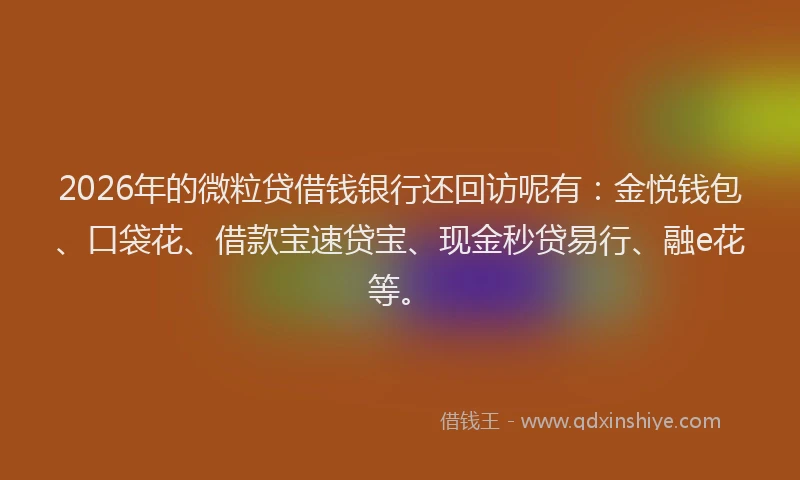 2026年的微粒贷借钱银行还回访呢有：金悦钱包、口袋花、借款宝速贷宝、现金秒贷易行、融e花等。