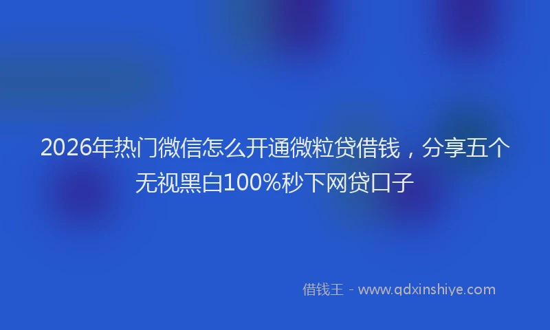 2026年热门微信怎么开通微粒贷借钱，分享五个无视黑白100%秒下网贷口子
