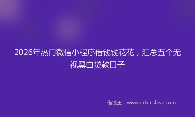 2026年热门微信小程序借钱钱花花，汇总五个无视黑白贷款口子