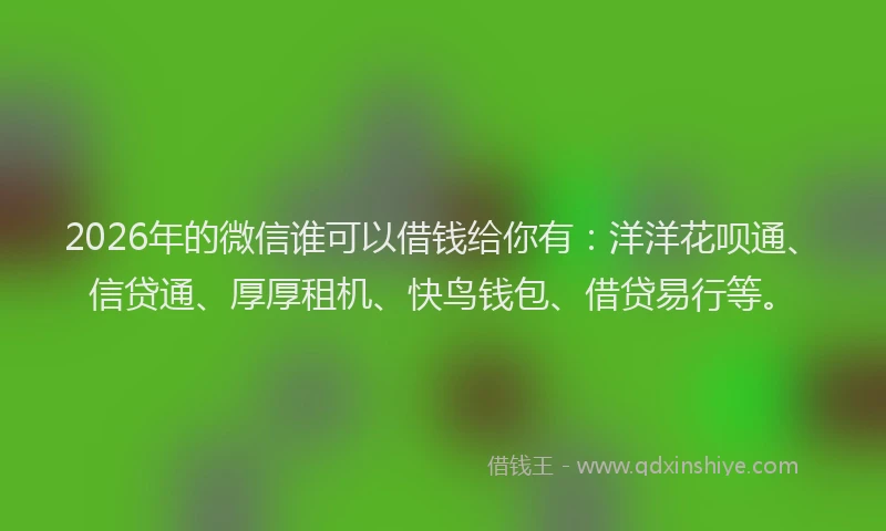 2026年的微信谁可以借钱给你有:洋洋花呗通、信贷通、厚厚租机、快鸟钱包、借贷易行等。