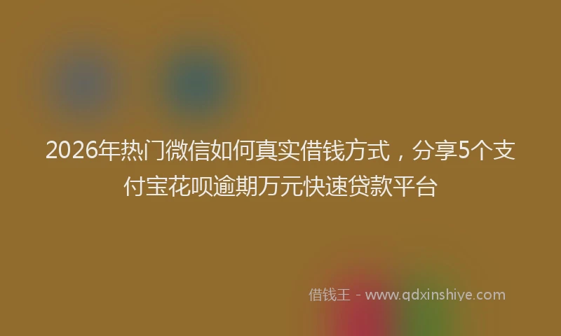 2026年热门微信如何真实借钱方式，分享5个支付宝花呗逾期万元快速贷款平台