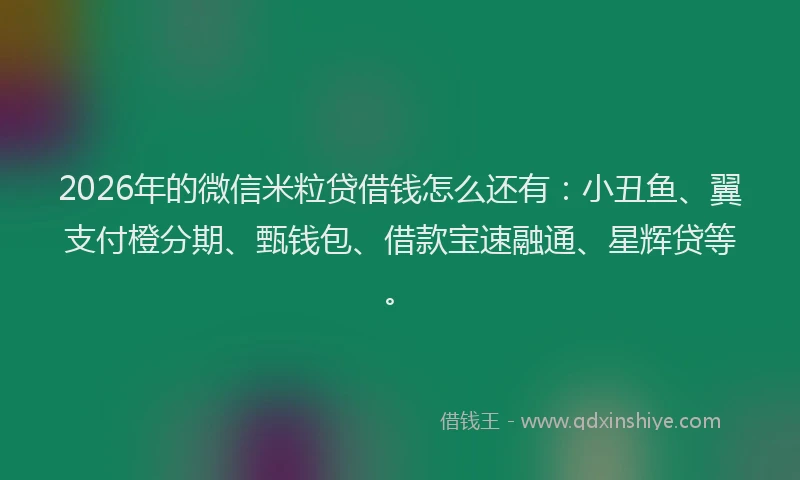 2026年的微信米粒贷借钱怎么还有：小丑鱼、翼支付橙分期、甄钱包、借款宝速融通、星辉贷等。