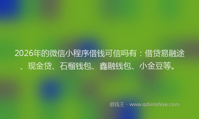 2026年的微信小程序借钱可信吗有：借贷易融途、现金贷、石榴钱包、鑫融钱包、小金豆等。