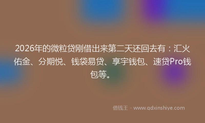 2026年的微粒贷刚借出来第二天还回去有：汇火佑金、分期悦、钱袋易贷、享宇钱包、速贷Pro钱包等。