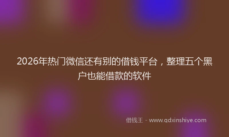 2026年热门微信还有别的借钱平台，整理五个黑户也能借款的软件