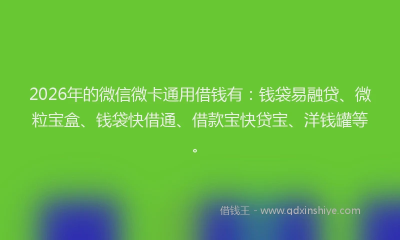 2026年的微信微卡通用借钱有:钱袋易融贷、微粒宝盒、钱袋快借通、借款宝快贷宝、洋钱罐等。