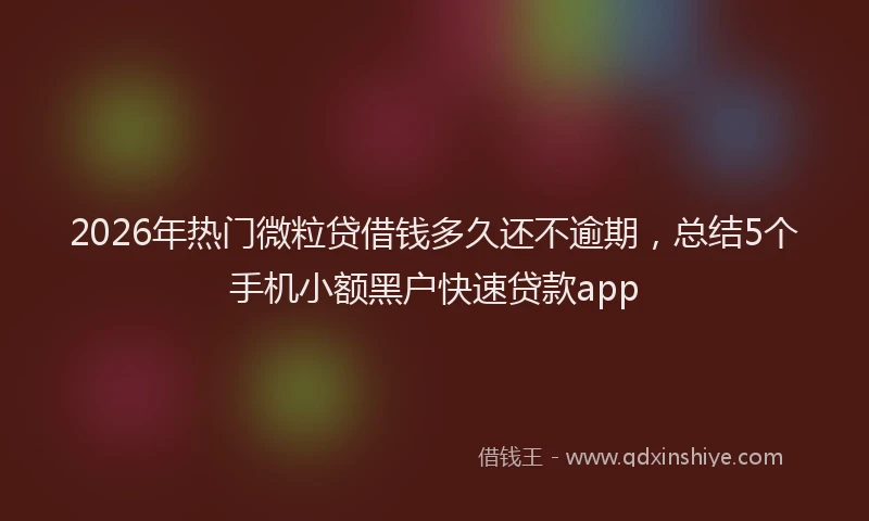 2026年热门微粒贷借钱多久还不逾期，总结5个手机小额黑户快速贷款app
