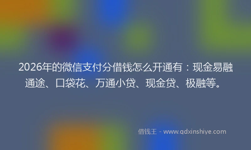 2026年的微信支付分借钱怎么开通有:现金易融通途、口袋花、万通小贷、现金贷、极融等。