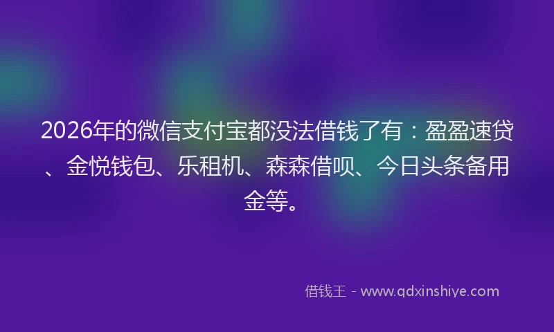 2026年的微信支付宝都没法借钱了有：盈盈速贷、金悦钱包、乐租机、森森借呗、今日头条备用金等。