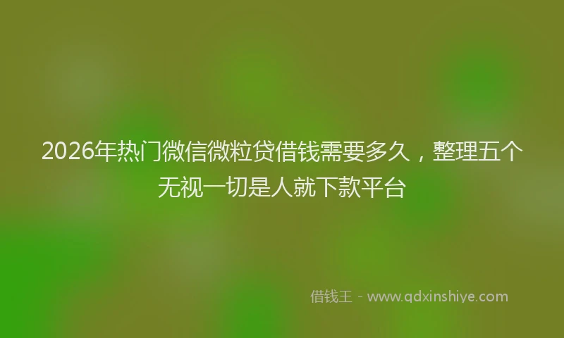 2026年热门微信微粒贷借钱需要多久，整理五个无视一切是人就下款平台