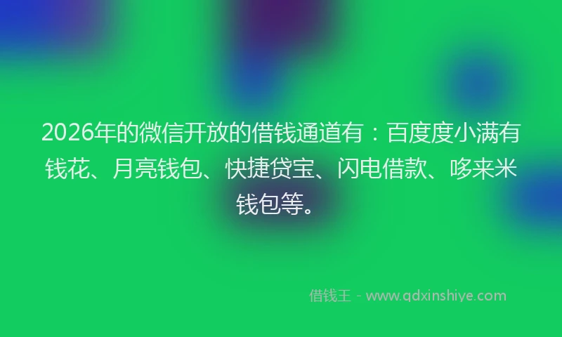 2026年的微信开放的借钱通道有：百度度小满有钱花、月亮钱包、快捷贷宝、闪电借款、哆来米钱包等。