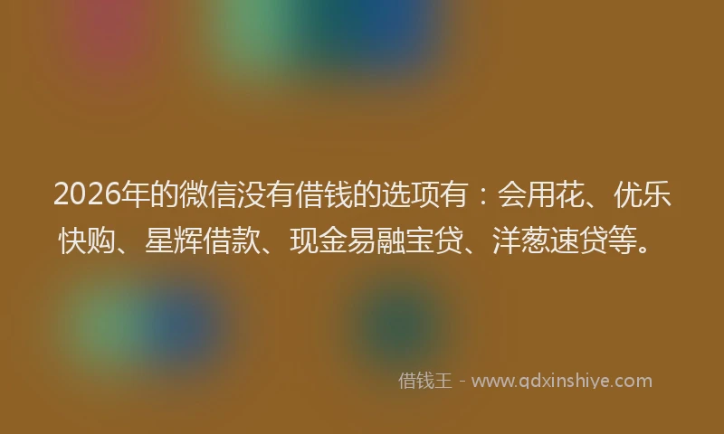 2026年的微信没有借钱的选项有：会用花、优乐快购、星辉借款、现金易融宝贷、洋葱速贷等。