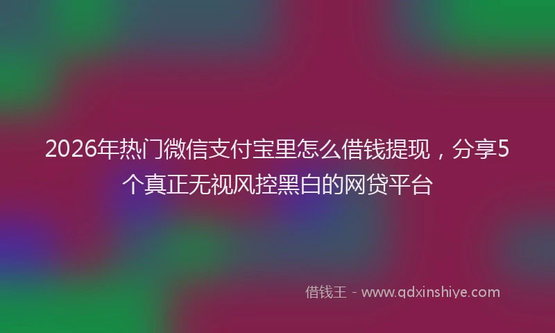 2026年热门微信支付宝里怎么借钱提现，分享5个真正无视风控黑白的网贷平台