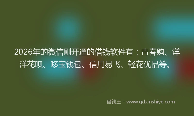 2026年的微信刚开通的借钱软件有：青春购、洋洋花呗、哆宝钱包、信用易飞、轻花优品等。
