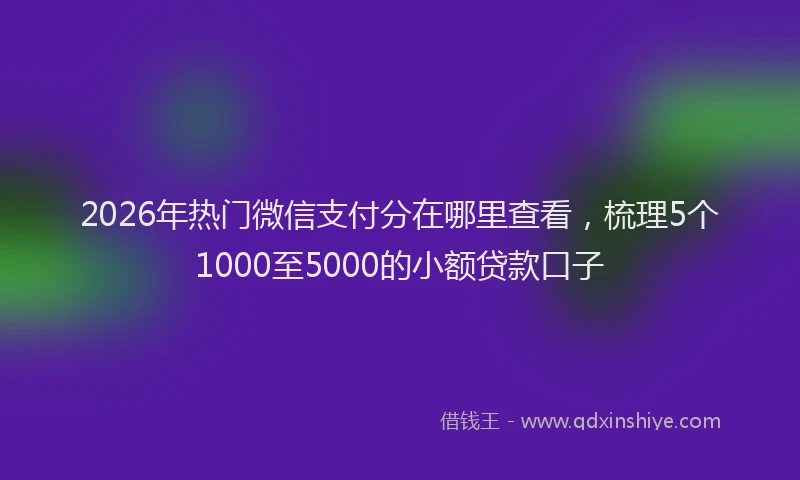 2026年热门微信支付分在哪里查看，梳理5个1000至5000的小额贷款口子