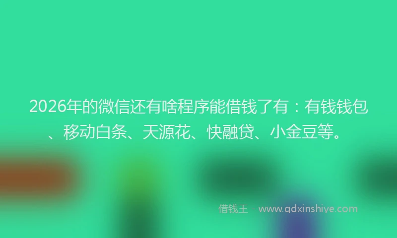 2026年的微信还有啥程序能借钱了有:有钱钱包、移动白条、天源花、快融贷、小金豆等。