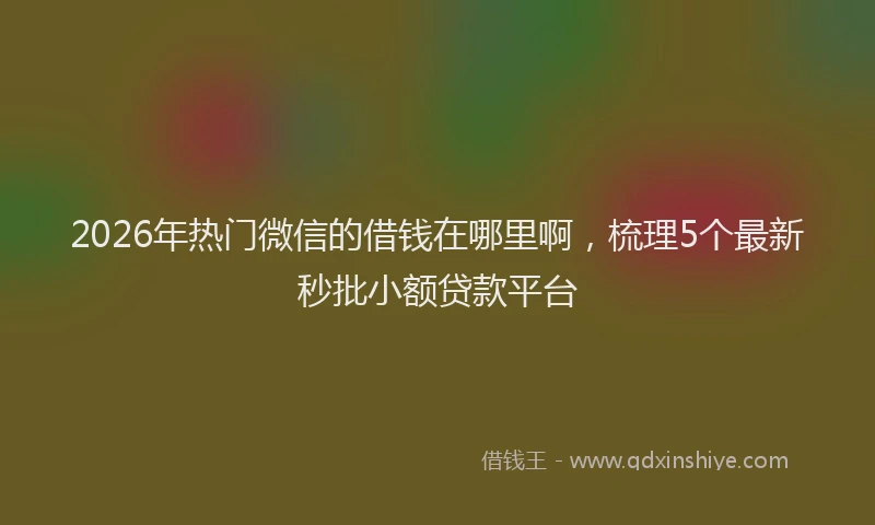 2026年热门微信的借钱在哪里啊,梳理5个最新秒批小额贷款平台