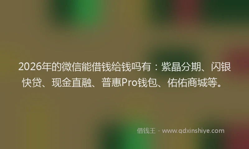 2026年的微信能借钱给钱吗有：紫晶分期、闪银快贷、现金直融、普惠Pro钱包、佑佑商城等。