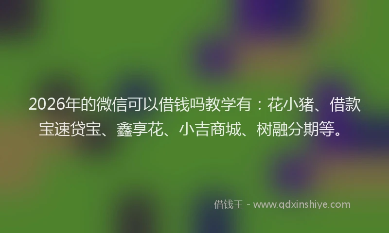2026年的微信可以借钱吗教学有：花小猪、借款宝速贷宝、鑫享花、小吉商城、树融分期等。
