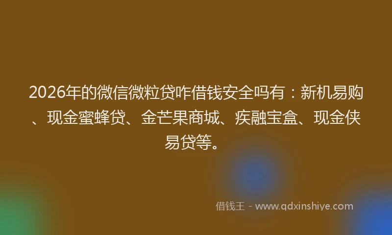 2026年的微信微粒贷咋借钱安全吗有：新机易购、现金蜜蜂贷、金芒果商城、疾融宝盒、现金侠易贷等。