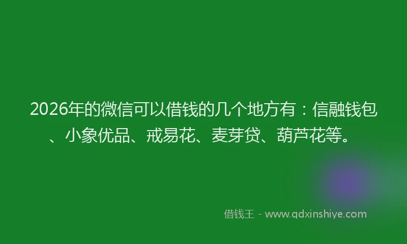 2026年的微信可以借钱的几个地方有：信融钱包、小象优品、戒易花、麦芽贷、葫芦花等。
