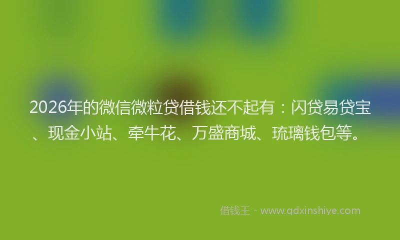 2026年的微信微粒贷借钱还不起有：闪贷易贷宝、现金小站、牵牛花、万盛商城、琉璃钱包等。