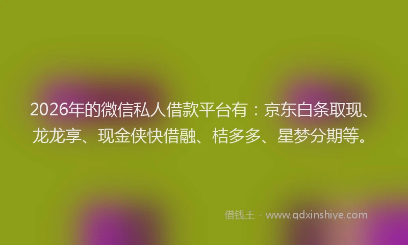 2026年的微信私人借款平台有：京东白条取现、龙龙享、现金侠快借融、桔多多、星梦分期等。